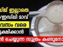 ഫ്രിഡ്ജ് ഇല്ലാതെ ദോശ / ഇഡ്‌ലി മാവ് 7 ദിവസം വരെ സൂക്ഷിക്കാം