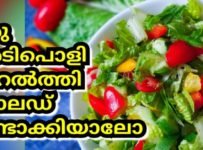 ഏതെങ്കിലും ഒരു സാലഡ് സ്ഥിരമായി നമ്മുടെ ഭക്ഷണത്തിൽ ഉൾപ്പെടുത്തുന്നത് വളരെ നല്ലതാണ്. ഞാൻ തയ്യാറാക്കിയിരിക്കുന്ന ഈ സാലഡിനു ഒരുപാടു ഗുണങ്ങൾ ഉണ്ട്