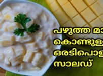പഴുത്തമാങ്ങയും തൈരും കൊണ്ട് ഒരടിപൊളി സാലഡ് ഉണ്ടാക്കിയാലോ