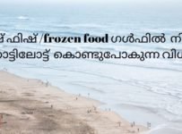 ഫ്രഷ് ഫിഷ് /frozen food ഗൾഫിൽ നിന്നും നാട്ടിലോട്ട് കൊണ്ടുപോകുന്ന വിധം