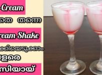 വീട്ടിൽ പെട്ടന്നൊരു ഗസ്റ്റ് വന്നാൽ ഇനി പേടിക്കേണ്ട fruits ഒന്നുമില്ലെങ്കിലും ice  cream  ഇല്ലെങ്കിലും,  ice cream ഇല്ലാത്ത ice cream ഷേക്ക്‌ ഉണ്ടാക്കാം