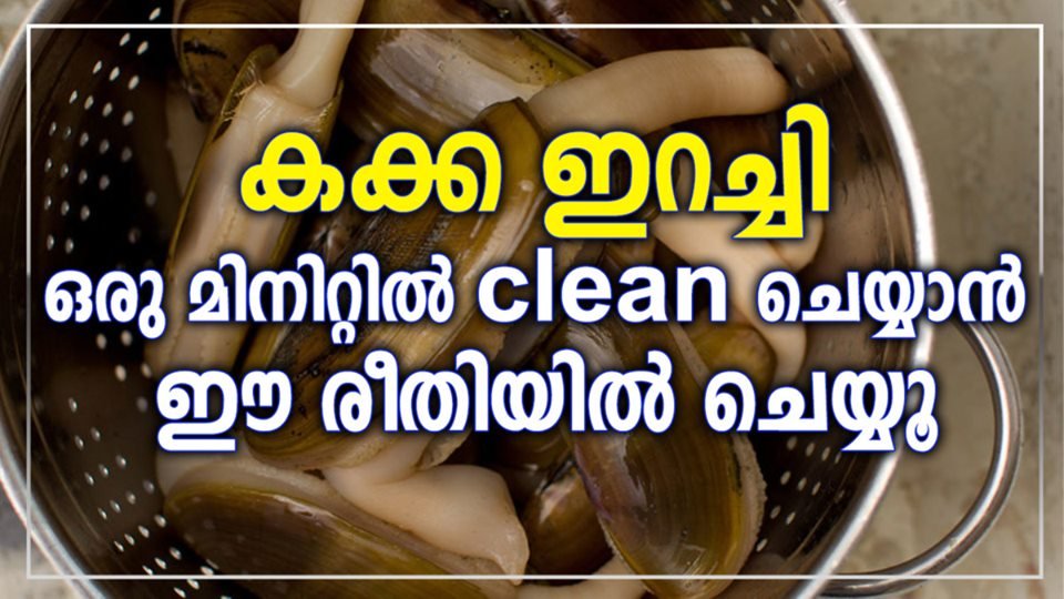 കക്ക ഇറച്ചി