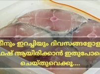 മീനും ഇറച്ചിയും ദിവസങ്ങളോളം ഫ്രഷായി സൂക്ഷിക്കാം