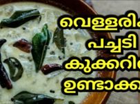 വെള്ളരിക്ക പച്ചടി കുക്കറിൽ ഉണ്ടാക്കാം ഇത് എല്ലാവർക്കും ഇഷ്ടമാകും