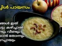 ഈ ഓണത്തിന് തയ്യാറാക്കി നോക്കു ഒരടിപൊളി ആപ്പിൾ പായസം. ഇത് നിങ്ങൾ ഒരു വട്ടം കഴിച്ചാൽ വീണ്ടും വീണ്ടും കഴിക്കാൻ തോന്നും തീർച്ചയായും. വളരെ കുറച്ചു ചേരുവകൾ ഉപയോഗിച്ച് പെട്ടന്നു തയ്യാറാക്കാൻ പറ്റുന്ന പായസമാണിത്.വീഡിയോ കണ്ടിട്ട് എല്ലാവരും ഉണ്ടാക്കി നോക്കൂട്ടോ