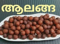 ആലങ്ങ