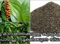 കുരുമുളക് പൊടിച്ചു ഒരുപാടുനാള്‍ കേടുകൂടാതെ സുക്ഷിക്കുന്ന വിധം