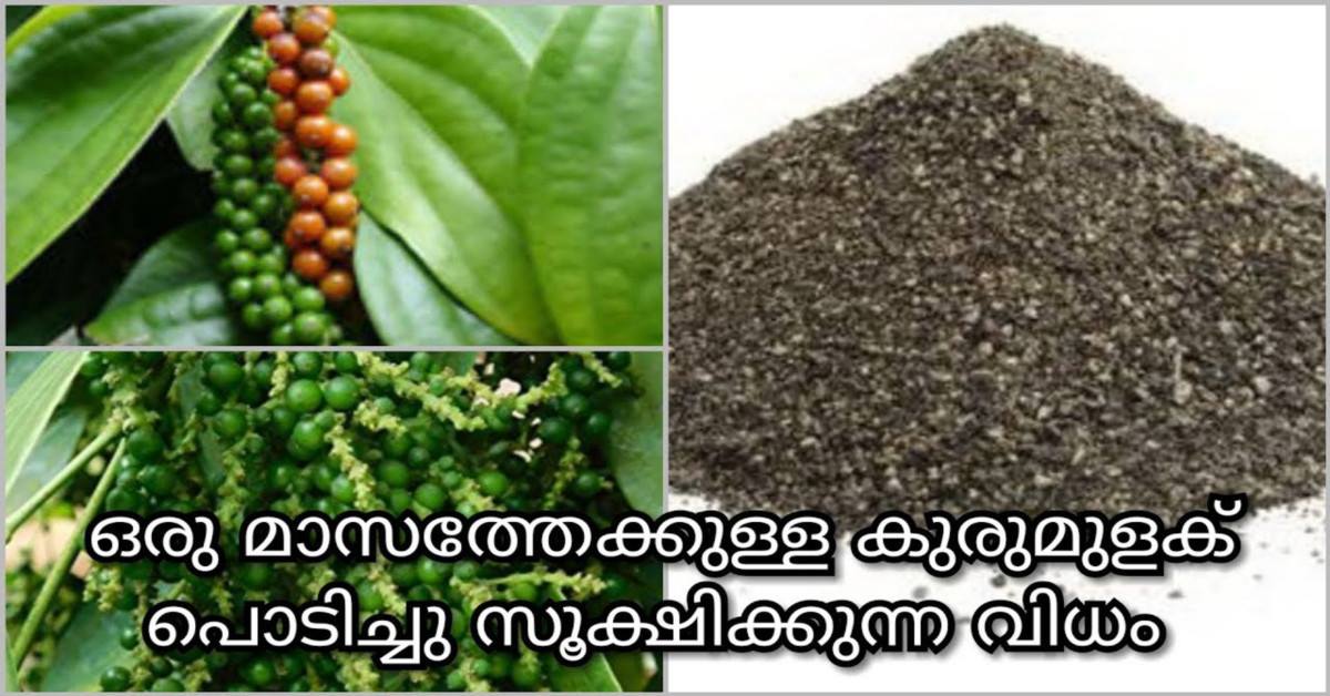 കുരുമുളക് പൊടിച്ചു