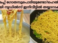 1കപ്പ് ഗോതമ്പുപൊടിയുണ്ടോ?ഇനി നൂഡിൽസ് കടയിൽ നിന്നും വാങ്ങേണ്ട.Healthy Noodles വീട്ടിൽ ഉണ്ടാക്കാം