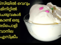 ഇനി മിക്സിയിൽ1മിനിട്ടിൽ കറക്കി വെറും 2 ചേരുവകൾകൊണ്ട് ഒരു അടിപൊളി ഐസ്ക്രീം