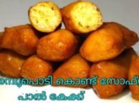 സോഫ്റ്റ് പാൽകേക്ക്