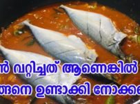 ഒരു തവണയെങ്കിലും ഇതുപോലൊരു മീൻകറി തയ്യാറാക്കി നോക്കൂ