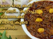 ചോറു കഴിക്കാൻ ഇങ്ങനെ ഒരു കറി മാത്രം മതി..
