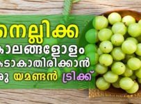 നെല്ലിക്ക കാലങ്ങളോളം കേടാകാതിരിക്കാൻ ഒരു യമണ്ടൻ ട്രിക്ക്