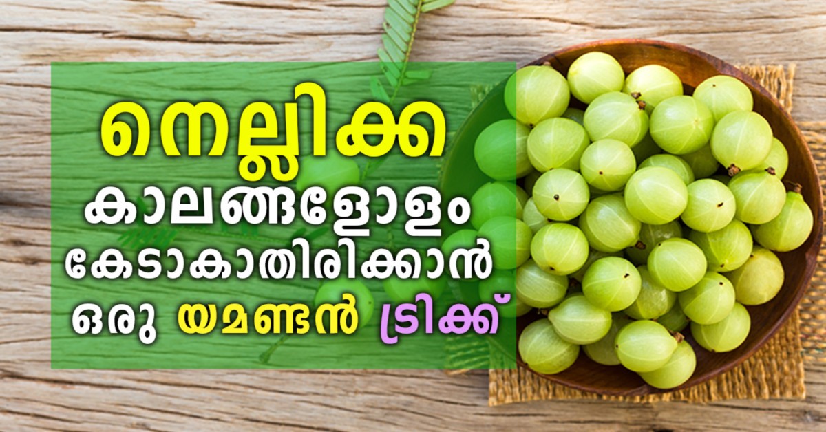 നെല്ലിക്ക