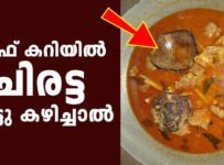 ബീഫ് കറിയിൽ ചിരട്ട ഇട്ടു കഴിച്ചാൽ
