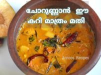 വറുത്തരച്ച കടച്ചക്ക കറി ഈ ഒരു കറി മാത്രം മതി വയർ നിറച്ചു ചോറുണ്ണുവാൻ