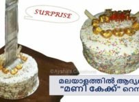 മലയാളത്തിൽ ആദ്യമായി “മണി കേക്ക് “റെസിപ്പീ