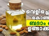 വെളിച്ചെണ്ണ കൊണ്ട് ബദാം oil ഉണ്ടാക്കാം