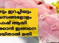 മീനും ഇറച്ചിയും ഫ്രഷ് ആയി സൂക്ഷിക്കാം ഇങ്ങനെ ചെയ്താൽ