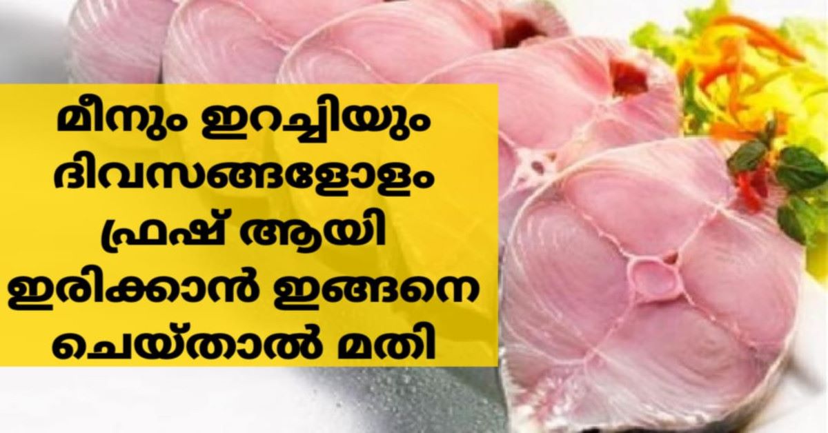 മീനും ഇറച്ചിയും ഫ്രഷ് ആയി സൂക്ഷിക്കാം ഇങ്ങനെ ചെയ്താൽ
