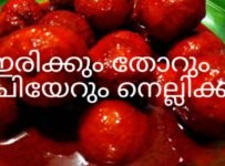 നെല്ലിക്ക ഇങ്ങനെ ഒന്നു ഉണ്ടാക്കി നോക്കൂ. വിനാഗിരി ഒന്നും വേണ്ടാ. ഒരു മാസം വരെ ഫ്രിഡ്ജിൽ വെച്ച് ഉപയോഗിക്കാം ഇൗ നെല്ലിക്ക അച്ചാർ. ഇരിക്കും തോറും രുചി കൂടും.
