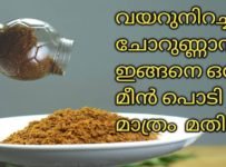 ചമ്മന്തി പൊടി