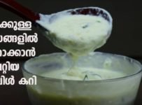 സിമ്പിൾ കറി