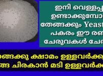 ഇനി വെള്ളേപ്പം ഉണ്ടാക്കാൻ തേങ്ങ വേണ്ട യീസ്റ്റ് വേണ്ട ഈ 2 ചേരുവകൾ മാത്രം മതി