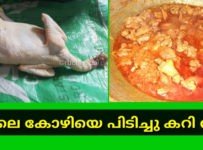 നാടൻകോഴിയെ കട്ട് ചെയ്തു കറി വയ്ക്കുന്നത് കണ്ടിട്ടുണ്ടോ
