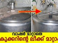 വാഷർ മാറ്റാതെ കുക്കറിന്റെ ലീക്ക് മാറ്റാം