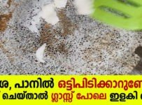 ദോശ, പാനിൽ ഒട്ടിപിടിക്കാറുണ്ടോ? ഇത് ചെയ്‌താൽ ഗ്ലാസ്സ് പോലെ ഇളകി വരും