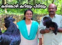 നാടൻ കരിങ്കോഴി കറിയും പിടിയും