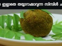 തേങ്ങ ഇല്ലാതെ തയ്യാറാക്കാവുന്ന Healthy, Easy And Tasty ചമ്മന്തി..