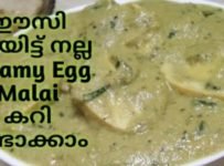 പെട്ടെന്ന് ഈസി ആയി ഉണ്ടാക്കാവുന്ന നല്ല ടേസ്റ്റി എഗ്ഗ് മലായ് കറി