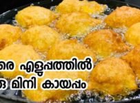 മിനി കായപ്പം