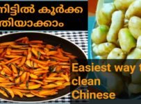 വളരെ പെട്ടന്ന് കൂർക്ക വൃത്തിയാക്കാൻ ഉള്ള ഒരു എളുപ്പ മാർഗം എല്ലാ വീട്ടിലും ഉള്ള നെറ്റും വെള്ളവും മാത്രം മതി…….പിന്നെ കൂർക്ക മെഴുക്കുപുരട്ടിയും…..