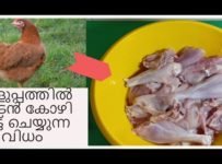 എളുപ്പത്തിൽ നാടൻ കോഴി കട്ട് ചെയ്യുന്ന വിധം