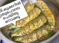 കുക്കറിൽ ഇട്ട് രണ്ട് വിസിൽ സംഭവം സൂപ്പറാ👌