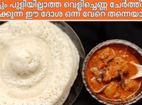ഒട്ടും പുളി ഇല്ലാതെ തയ്യാറാക്കുന്ന ഈ ദോശ ഒന്ന് തയ്യാറാക്കി നോക്കൂ