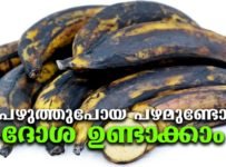 പഴുത്തുപോയ പഴമുണ്ടോ ദോശ ഉണ്ടാക്കാം