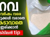 റവ 2 വർഷം വരെ പുഴുക്കൾ വരാതെ, കേടാവാതെ ഇരിക്കാൻ കിടിലൻ tip