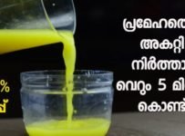 Diabetes control ചെയ്യാൻ ഈ മൂന്ന് ചേരുവകൾ മതി  അല്ലെങ്കിൽ ഇങ്ങനെ ഒരു ജ്യൂസ് മാത്രം മതി….