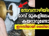 സേവനാഴിയിൽ മാവ് മുകളിലേക്കു കയറാറുണ്ടോ. ഈസിയായി ശെരിയാക്കാം
