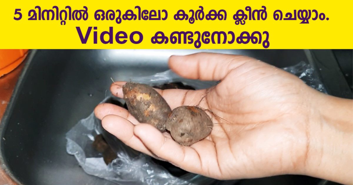 കൂർക്ക ക്ലീൻ ചെയ്യാം