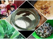 നാടന് ശൈലിയില് കുവ പൊടി ഉണ്ടാക്കുന്ന വിധം