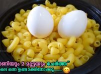 Masala Macaroni