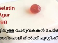 വീട്ടിൽ ഉള്ള ചേരുവകകൾ ചേർത്ത് വായിൽ ഇട്ടാൽ അലിഞ്ഞു പോകുന്ന മിൽക്ക് പുഡ്ഡിംഗ്