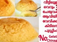 ഇനി ജലാറ്റിനോ, ചൈനാഗ്രാസ്സോ വേണ്ട. വീട്ടിലുള്ള 3 ചേരുവകൾ മാത്രം. ആവിയിൽ വേവിച്ചെടുക്കാം ഈ പുഡ്ഡിംഗ്