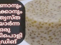 ഹെൽത്തിയും ടേസ്റ്റിയും ആയ ഒരു വെറൈറ്റി പുഡിങ്
